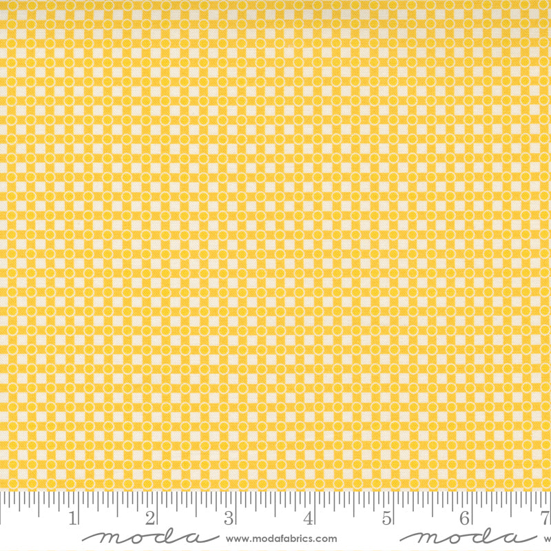Story Time Dotted Check Yellow