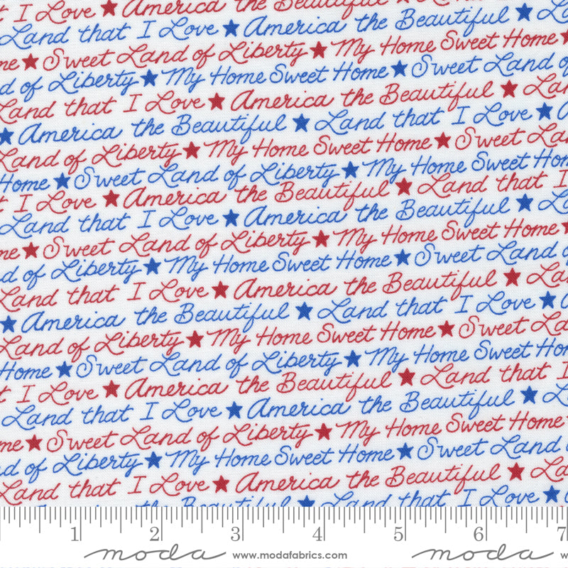 All American Patriotic Sayings Daisy White