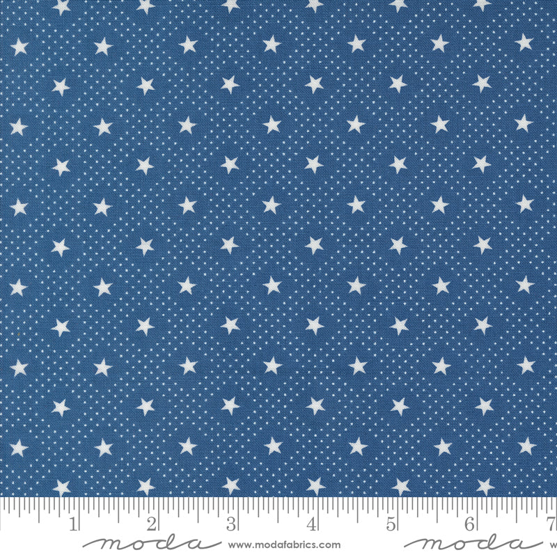 Grand Haven Star Check Nautical Blue