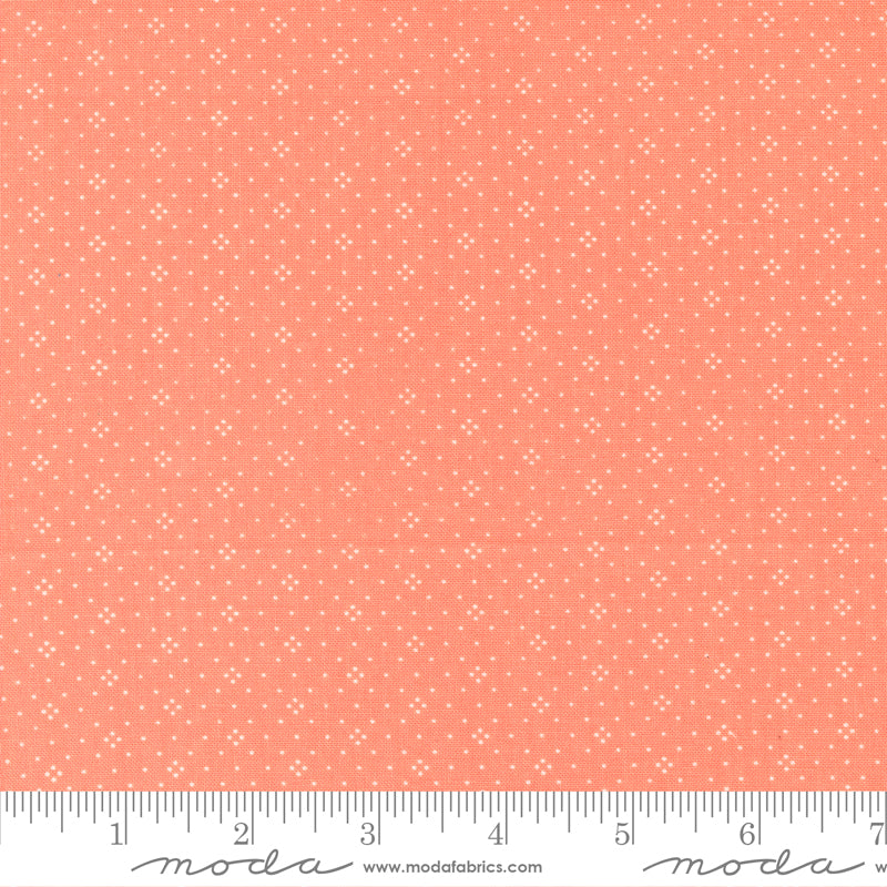 Eyelet Coral
