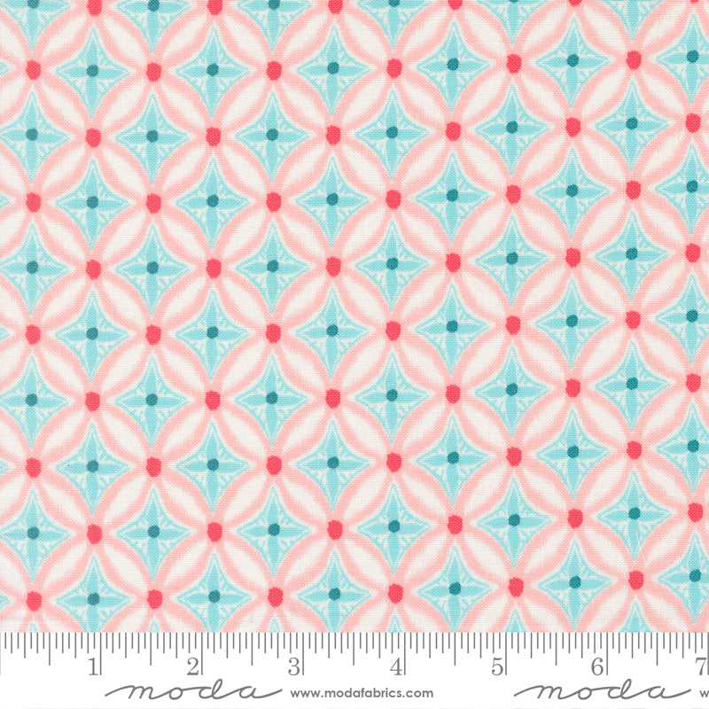 Reef Medallion Starfish