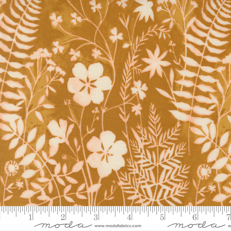 Brookside Sun River Yarrow