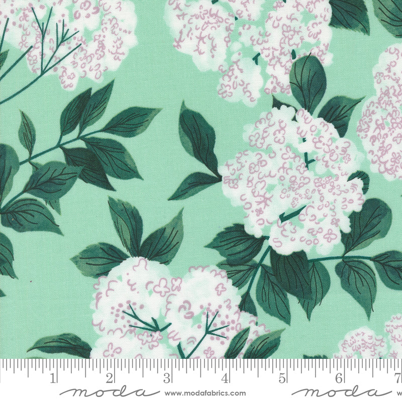 Love Letter Elderberry Blossoms Seafoam