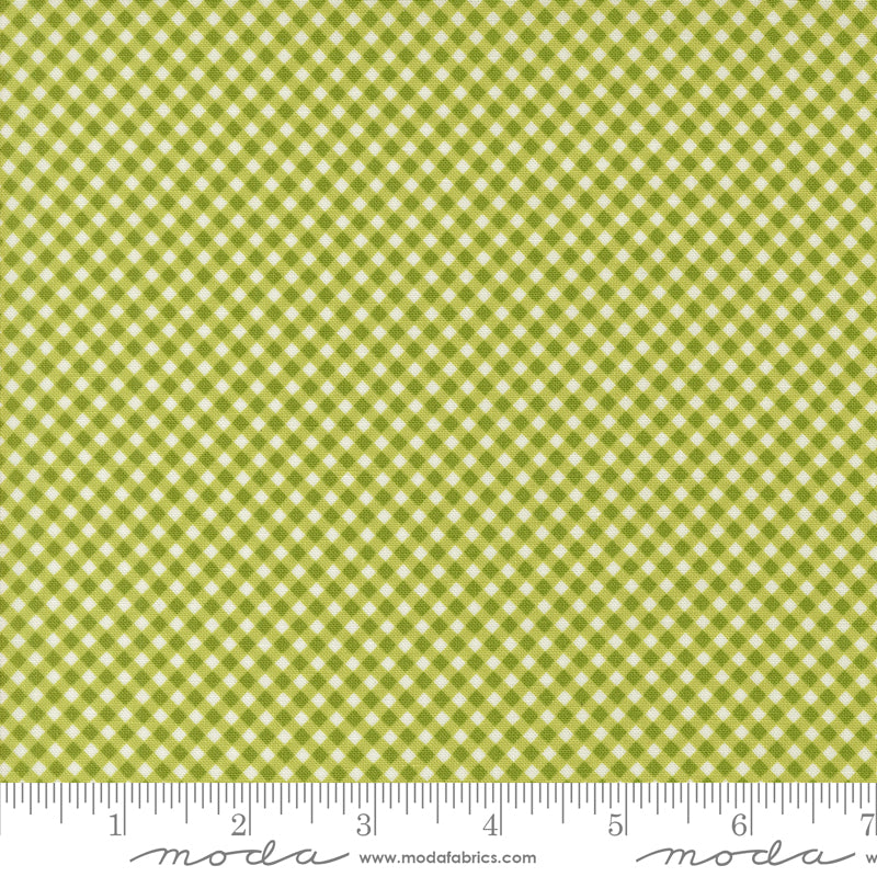 Raspberry Summer Gingham Lime