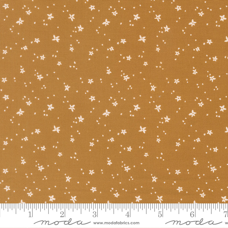 Peachy Peach Blossom Honey