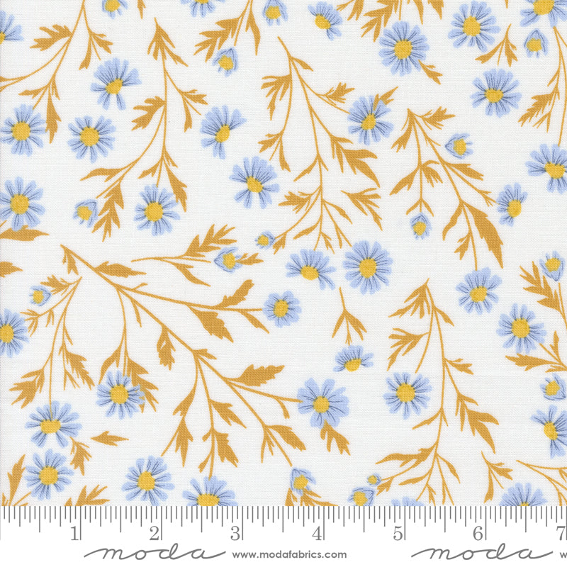 Sun Drenched Wild Daisy Chain Cloud