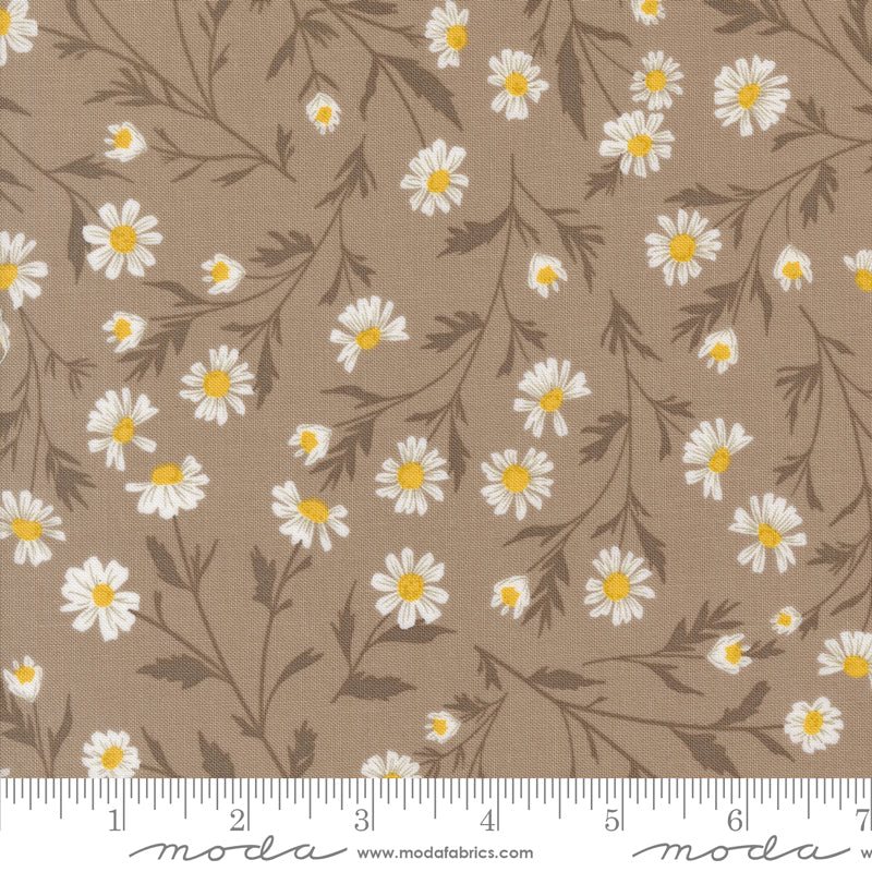 Sun Drenched Wild Daisy Chain Stone