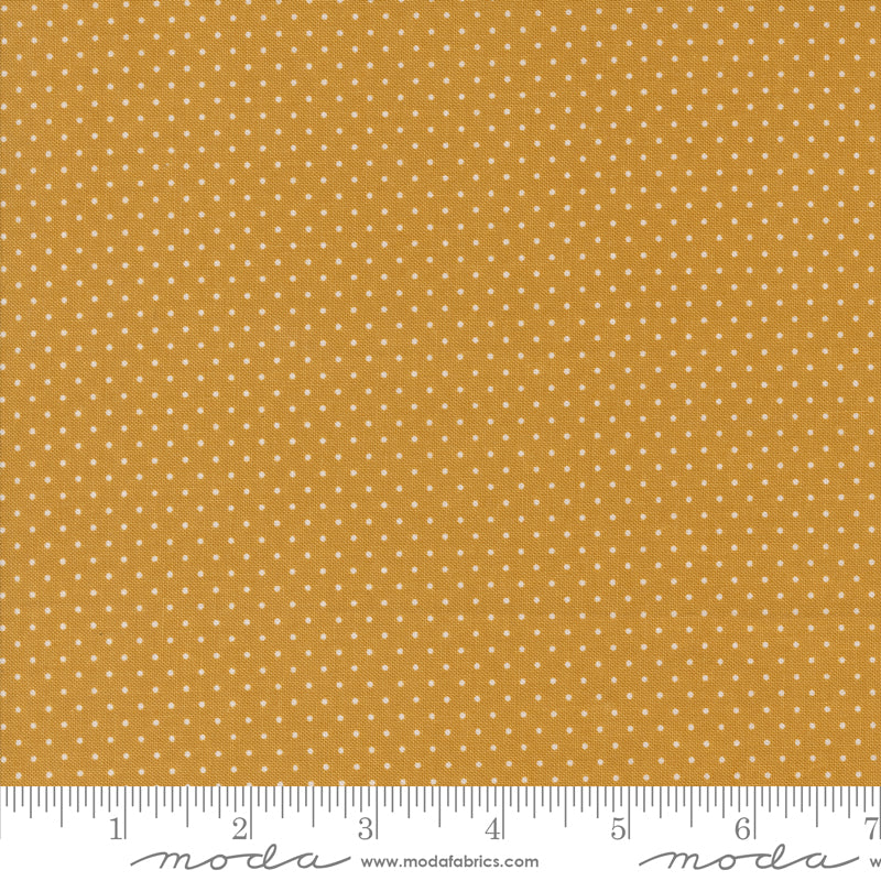 Sun Drenched Farmhouse Dot Golden