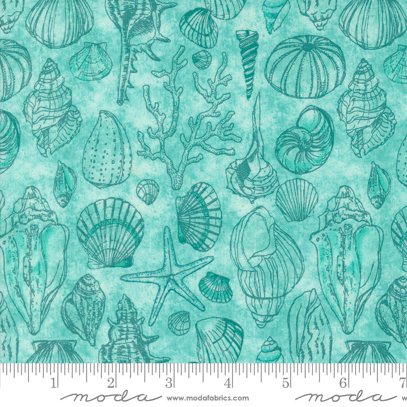 Serena Shores Sketchy Shells Aqua