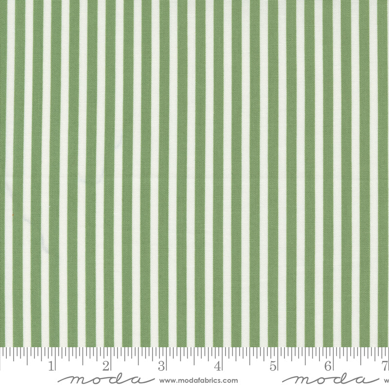 Shoreline Simple Stripe Green