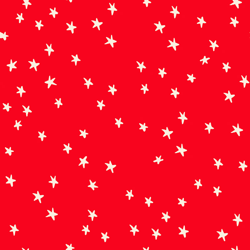 Starry Ladybug