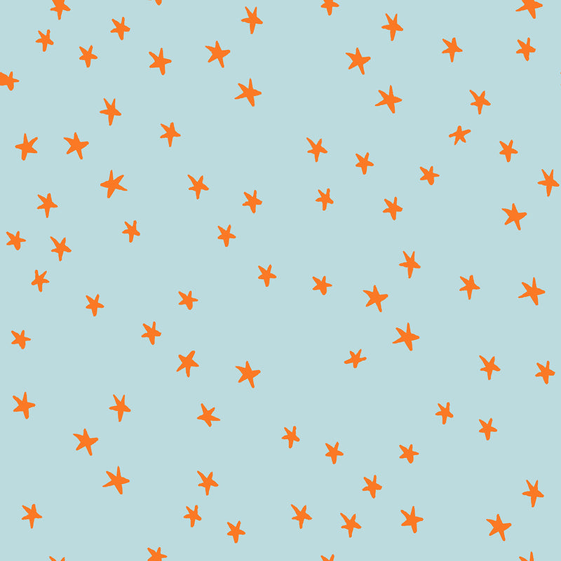 Starry Polar