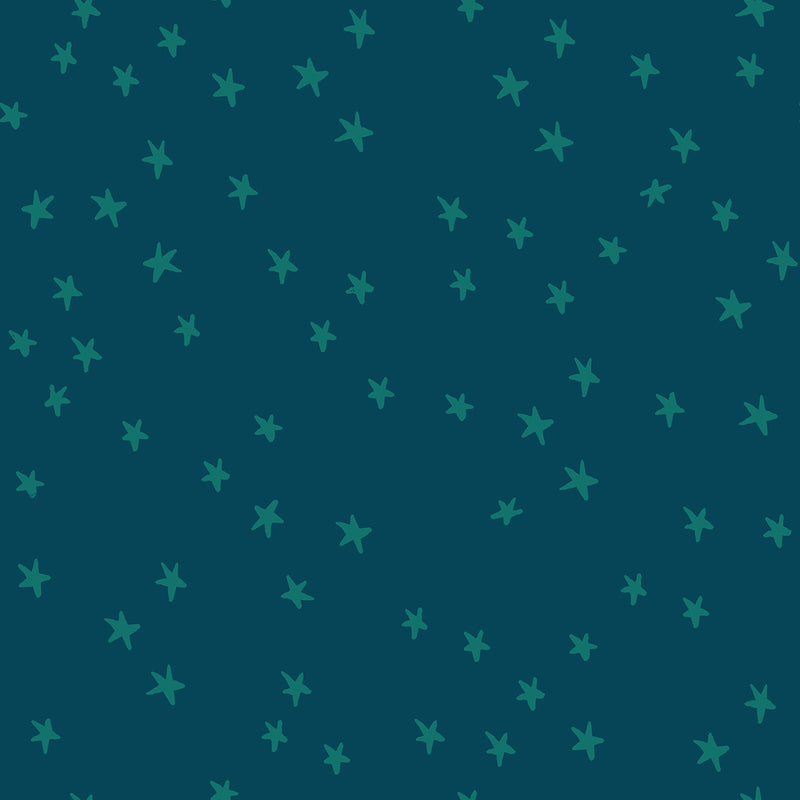 Starry Galaxy