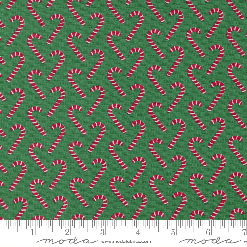 Candy Cane Lane Candy Cane Evergreen