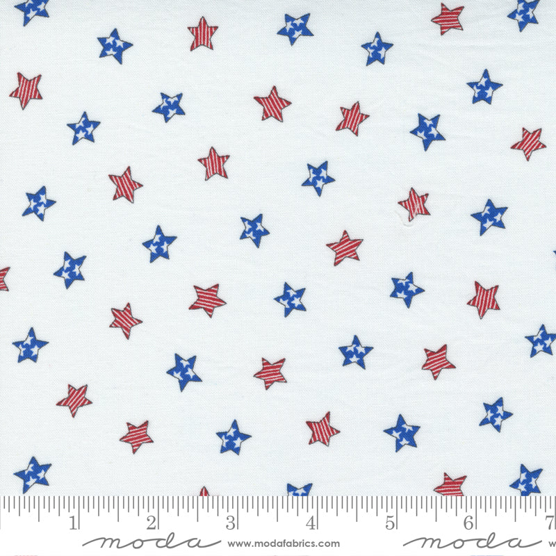 All American Tossed Stars Daisy White