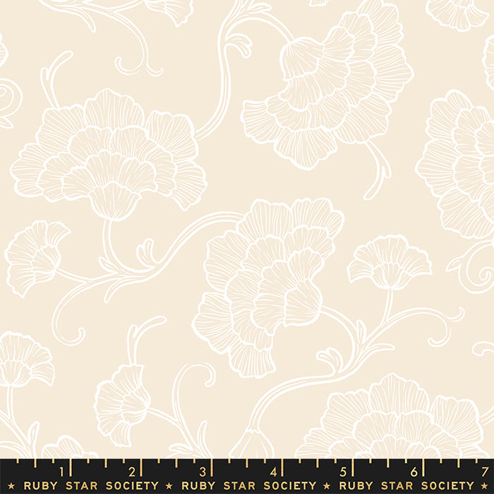 Reading Nook Powder in Shell Reading Nook Powder in Shell